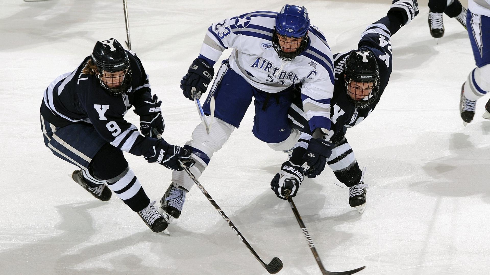 明日方舟“未来守护者”明星争霸赛正式开启，明日方舟综艺